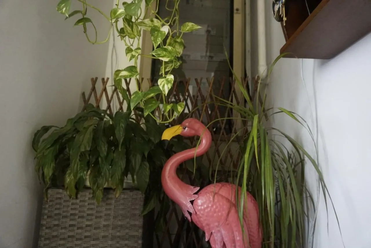 Hotel Arcobaleno Celle Ligure Italy